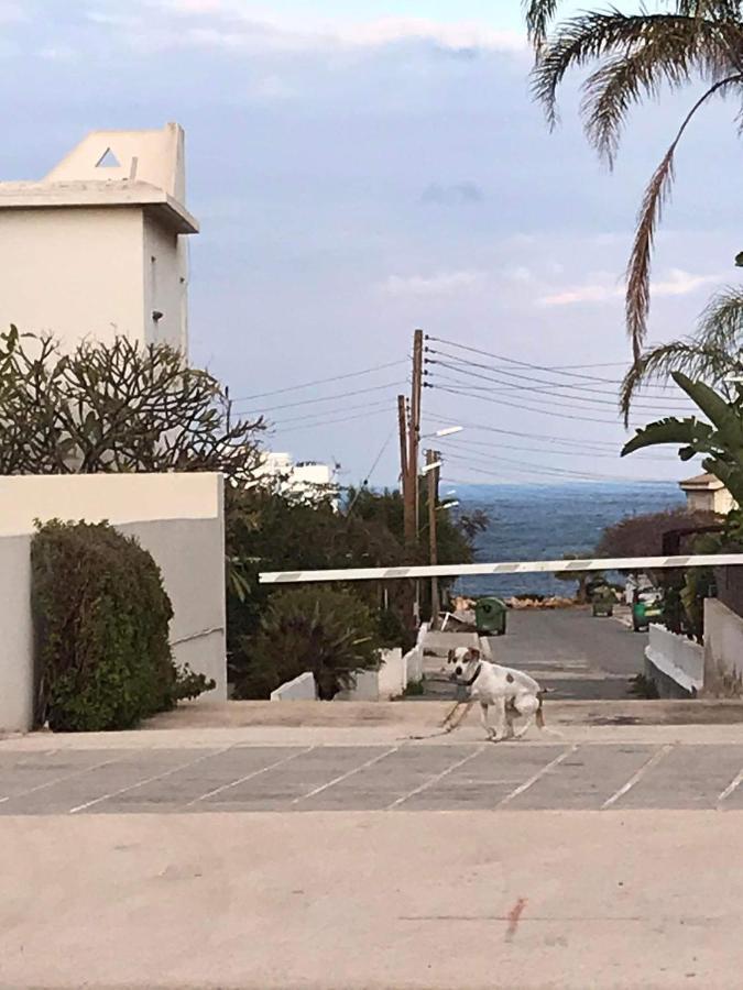Sunny Holiday By Konnos Paralimni Exterior foto